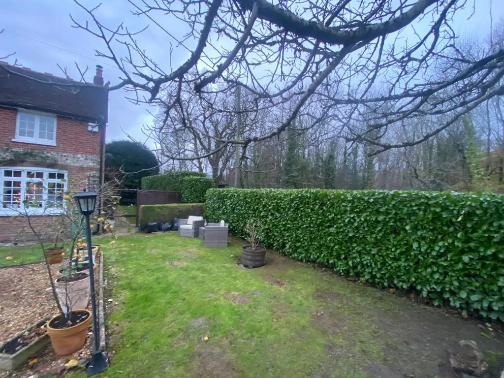 nice hedge