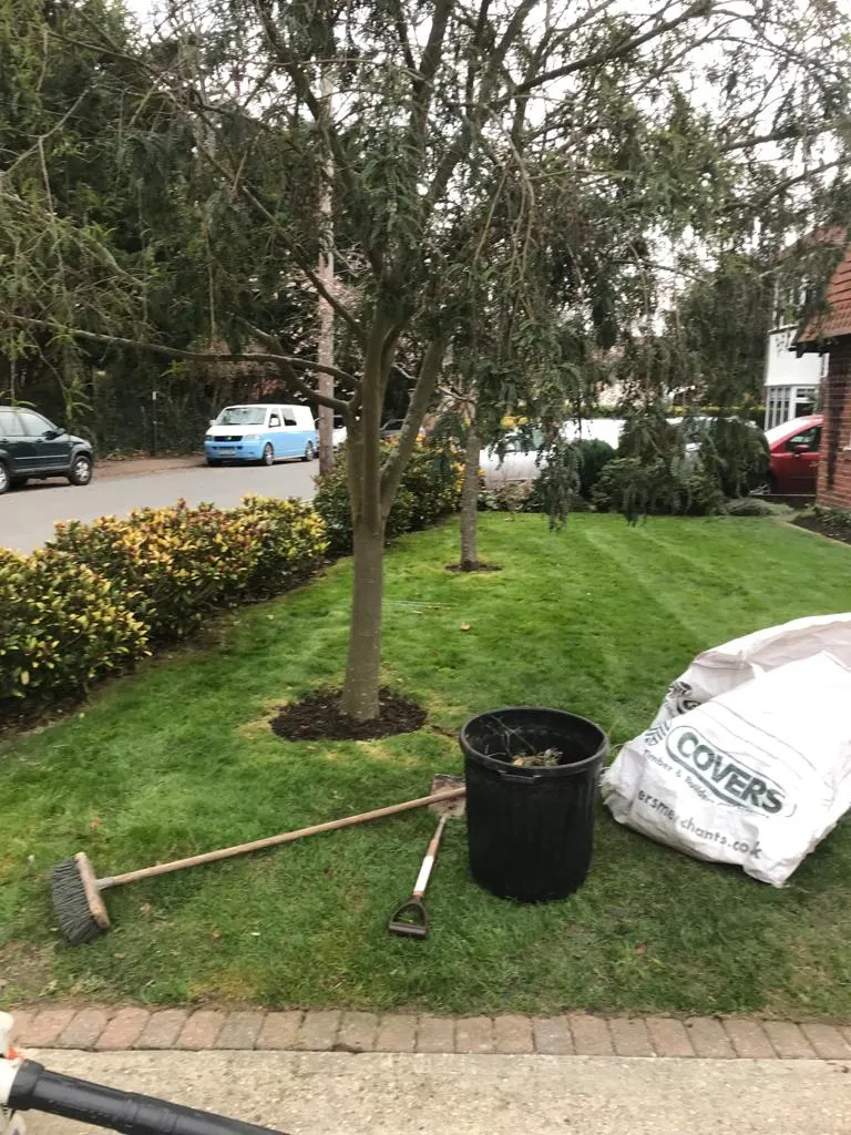 bucket and rake