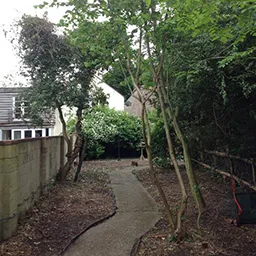 path in a garden