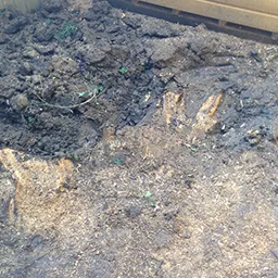 hole in the ground