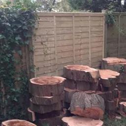 logs