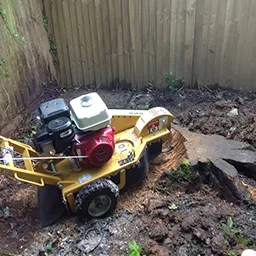 stump grinding